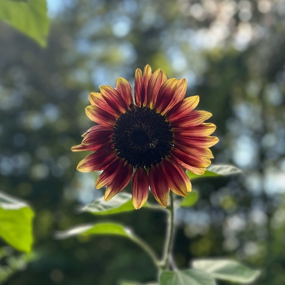 Meet your Posher, Abby - Picture 12 of 12